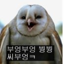 8시 이미지