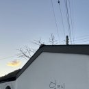 달단지스테이 이미지