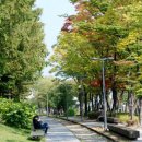 경춘선숲길 이미지