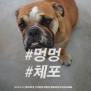 제기28 이미지