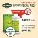 비마 이미지