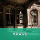 파주시티요양병원 | 파주요양원 사랑요양원 편안한 돌봄과 전문 서비스 제공
