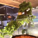 이자카야설 이미지