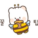 콩·붕 이미지
