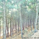 초안산스포츠타운 이미지