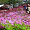 군포-산본-2017 연합뉴스