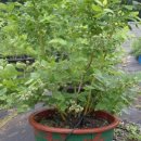 희영농장 이미지