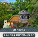 골굴사 | 경주 가볼만한곳 '골굴사 선무도 볼거리 있는 사찰 후기' | 경주시 SNS 알리미 김영욱