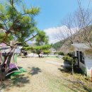 포시즌밸리계곡애견펜션 이미지