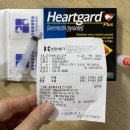 원종동물병원 이미지