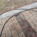 대송면 홍계숲 이미지