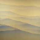 바람의정원 이미지