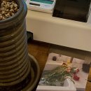 브룸(BROOM) 이미지