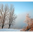 강가의아침 이미지