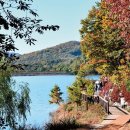 출렁다리 진입로 이미지