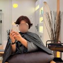 살롱톤 | [영등포미용실] 뻗친머리 심폐소생! 볼륨매직+애쉬브라운 숏컷 변신 (feat. 살롱톤 주환 원장)