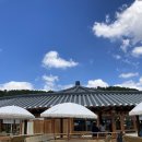 라차차 | 1년 내내 비 내리는 대형 카페, 경주 노경보차라파 내돈내산 방문 후기 (동물+방갈로+떡빵카페)