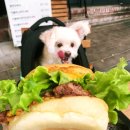 바스버거 네이버블로그