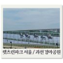 제주특별자치도장애인총연합회 | 과천 경마공원 | 렛츠런파크 무료입장권, 주차, 준비물, 현장강의, 배팅방법 등 후기