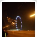 꼬꼬나라 네이버블로그