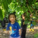 꼬마친구어린이집 | 🍇장흥 어린이집 3곳, 70명의 꼬마농부가 명랑농원에 모였다! 🌿