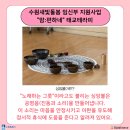 새빛테라피
