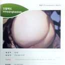 우수한 우리품종 ; 종자박람회 홍보책자 이미지