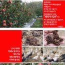 와룡농원