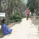 자굴산치유수목원 이미지