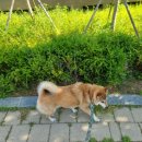 효성시티공인중개사사무소 | 아파트 고를 때 제일 중요한 나만의 기준?