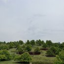 정건축사사무소 | [군위] 국내에서 가장 비싼 수목원, 사유원