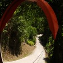 통고산자연휴양림 이미지