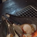 몽산포 기러기농장 | 태안 곰섬 애견펜션, 애봉이네 펜션 2박 3일 여행 후기(후원 없는 내돈내산)