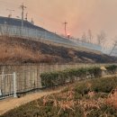 [속보] 文, 울진 산불 확산에 "한울원전 안전조치 만전" 이미지