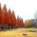 가을에 가면 더 좋은 서울 근교 가을 여행지 BEST6 이미지