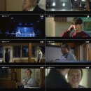 짐나빌레라 이미지