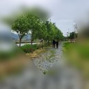 송가인공원 네이버블로그