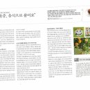 미주테라피 이미지