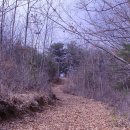 마지농원 이미지