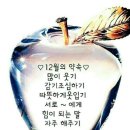 건강에 좋은 차들 이미지