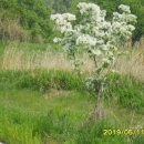 만경농장2 이미지