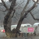 무주모모펜션 | [전북/무주] 무주에서 감성 돋는 펜션 찾으신다면 모모펜션 추천해요:)