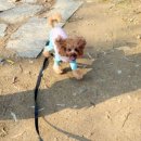 어여가세 이미지