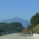 허니바우 이미지