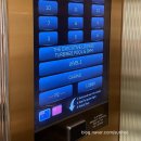 HOTEL. THE STAR | 호주 시드니 호텔 - 더스타 그랜드 호텔(The Star Grand Hotel &amp; Residence Sydney)