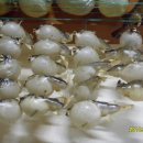 동래구청 이미지