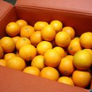 평안농장 이미지