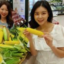 온다하우스 이미지