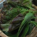 칼국수만드는사람들