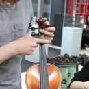 영창한의원 | 영창 바이올린 발렌시아 초등학생 연습용으로 픽